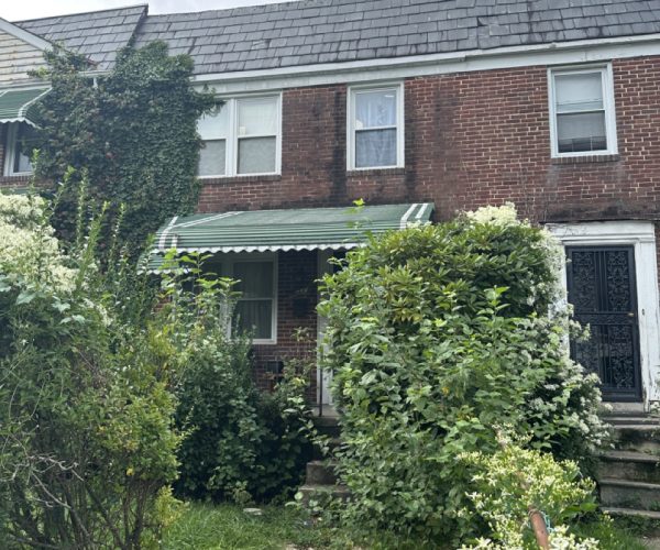 8. 802 Wicklow Rd Large